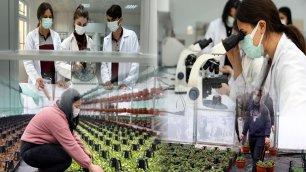 ORNAMENTAL FLOWERS GROWN IN THE GREENHOUSES OF VOCATIONAL HIGH SCHOOLS ARE ON THE WAY OF BRANDING